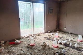 Commercial Property for Sale in Koppies Rural Free State